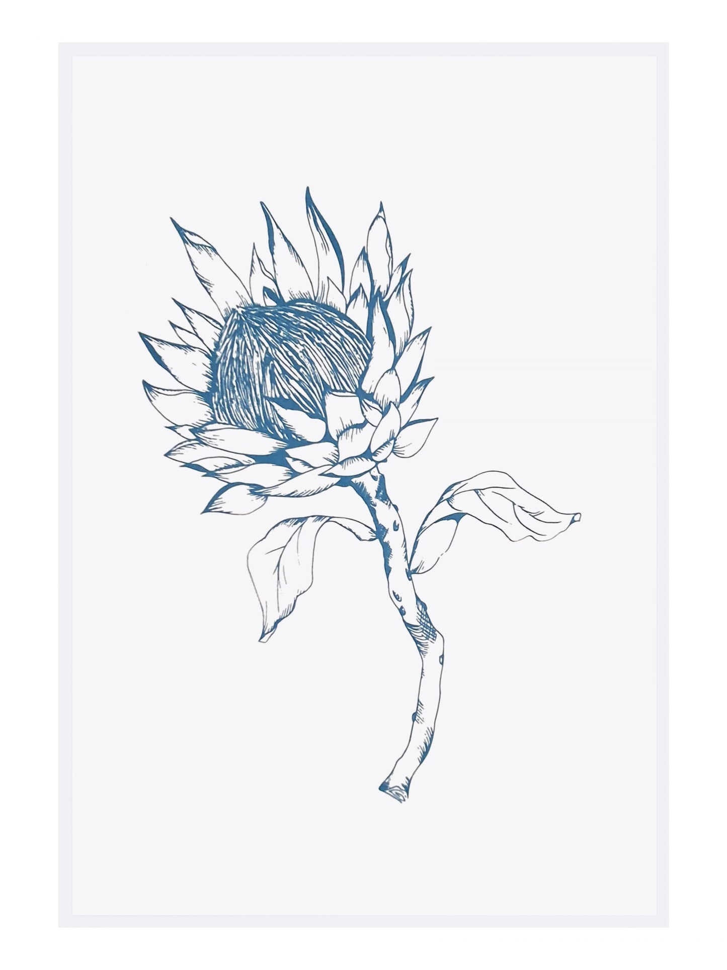 dishy designs - Blue King Protea Tea Towel