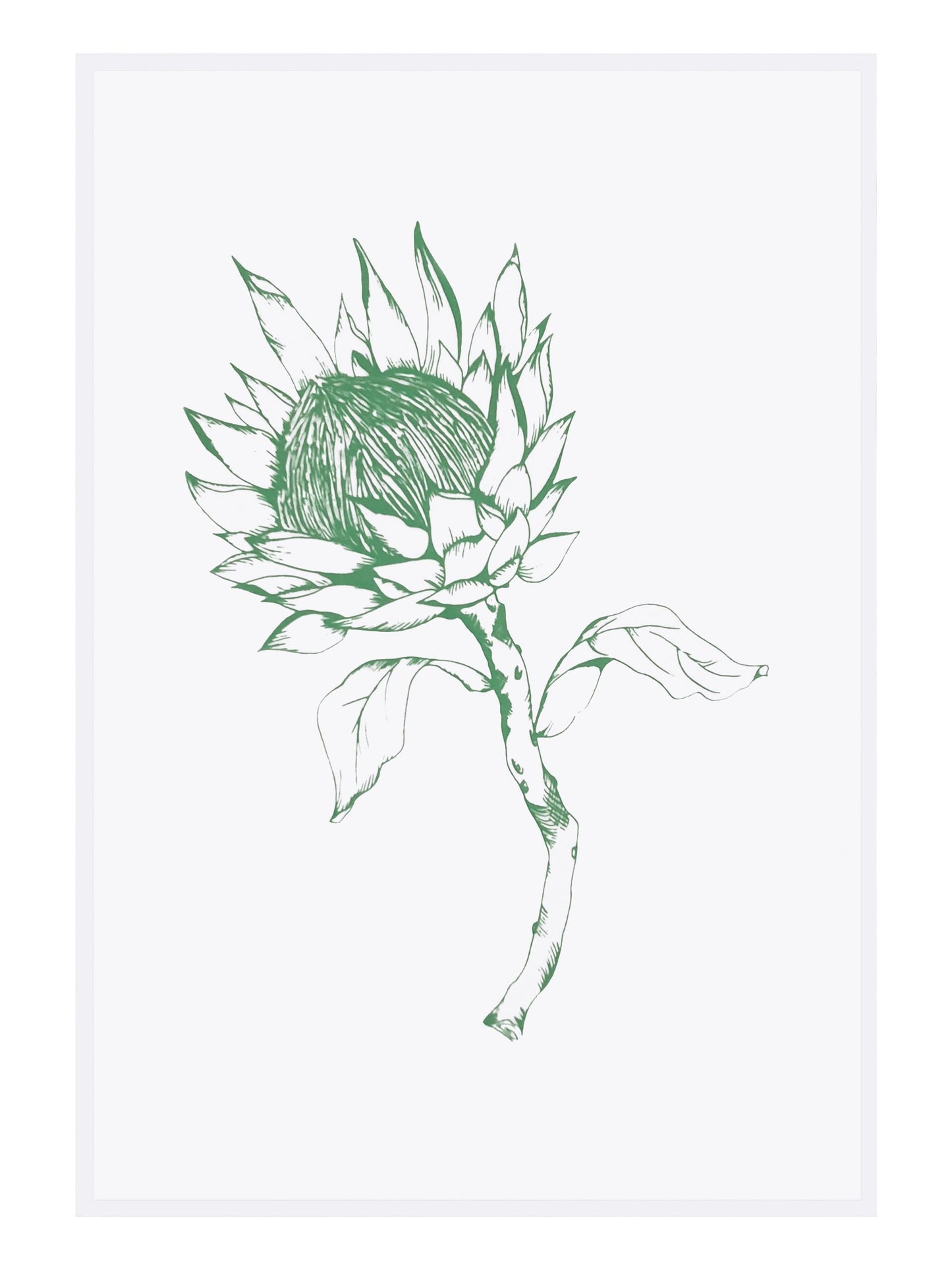 dishy designs - Green King Protea Tea Towel